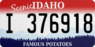 ID license plate I376918