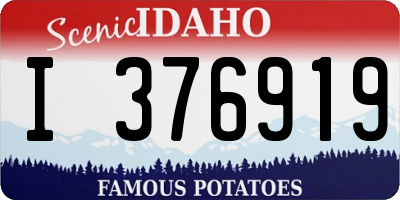 ID license plate I376919