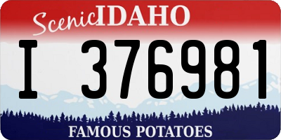 ID license plate I376981