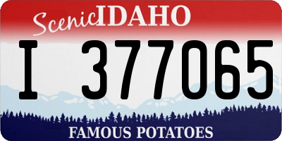 ID license plate I377065