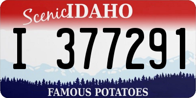 ID license plate I377291