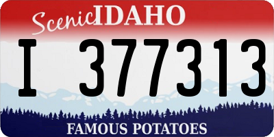 ID license plate I377313