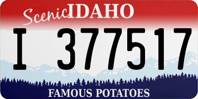 ID license plate I377517