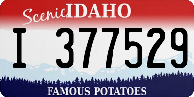 ID license plate I377529