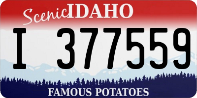 ID license plate I377559