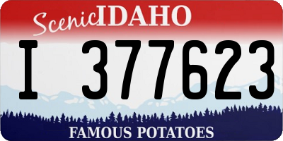ID license plate I377623