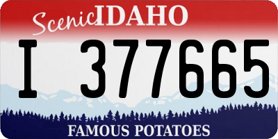 ID license plate I377665