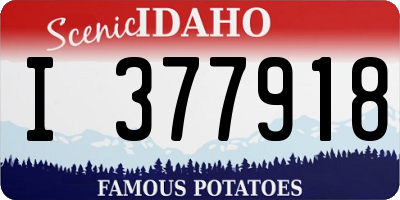 ID license plate I377918
