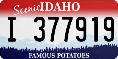 ID license plate I377919