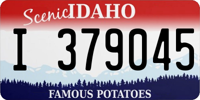 ID license plate I379045