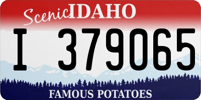 ID license plate I379065