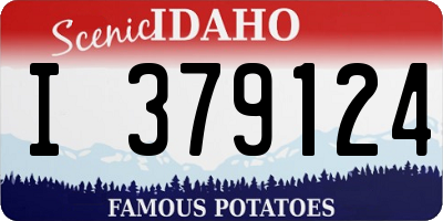 ID license plate I379124