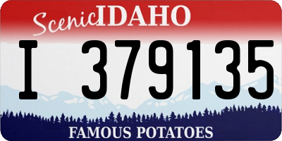 ID license plate I379135