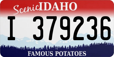 ID license plate I379236