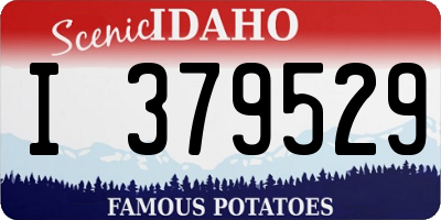 ID license plate I379529