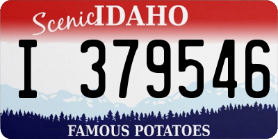 ID license plate I379546