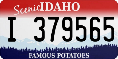 ID license plate I379565