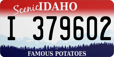 ID license plate I379602