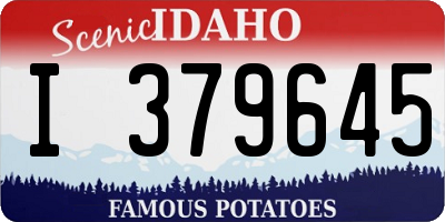 ID license plate I379645