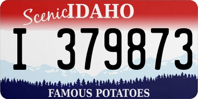 ID license plate I379873
