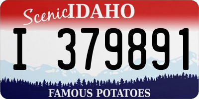ID license plate I379891