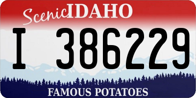 ID license plate I386229