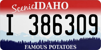 ID license plate I386309