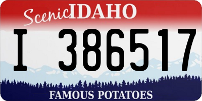 ID license plate I386517