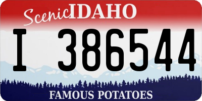 ID license plate I386544