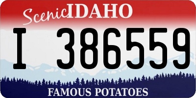 ID license plate I386559
