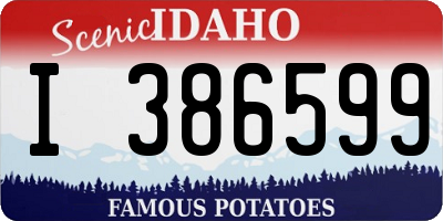 ID license plate I386599