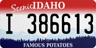ID license plate I386613