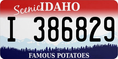 ID license plate I386829