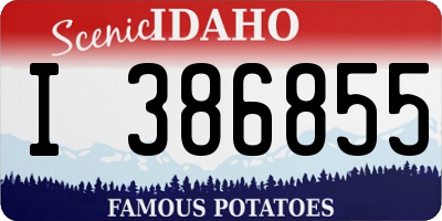 ID license plate I386855