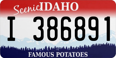 ID license plate I386891
