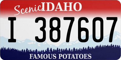 ID license plate I387607