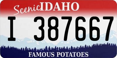 ID license plate I387667