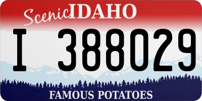 ID license plate I388029