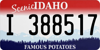 ID license plate I388517