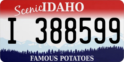 ID license plate I388599