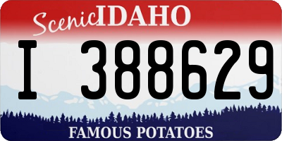 ID license plate I388629