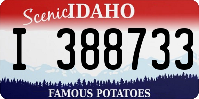 ID license plate I388733