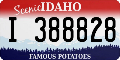 ID license plate I388828