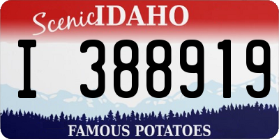 ID license plate I388919