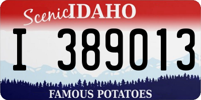 ID license plate I389013