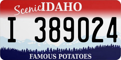 ID license plate I389024
