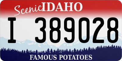 ID license plate I389028
