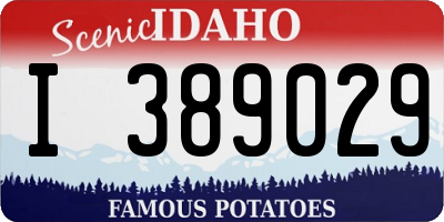 ID license plate I389029