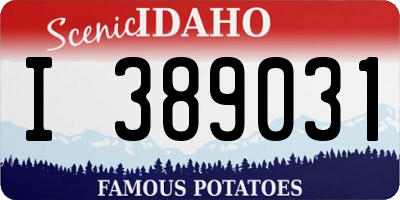 ID license plate I389031
