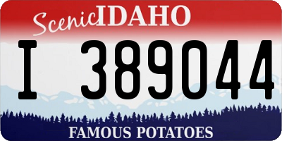 ID license plate I389044
